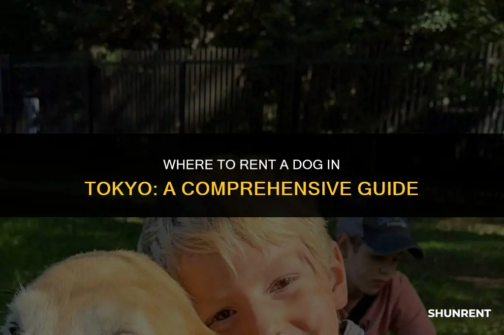 where to rent a dog in tokyo