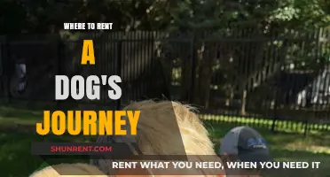 Embark on a Canine Adventure: Renting a Dog's Journey
