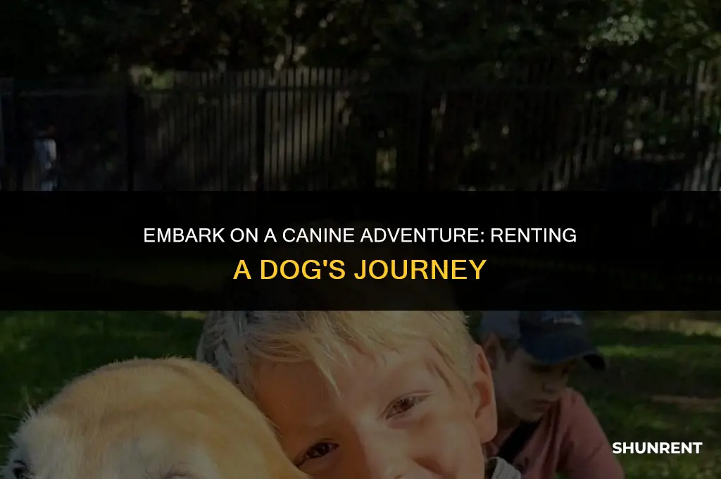 where to rent a dog