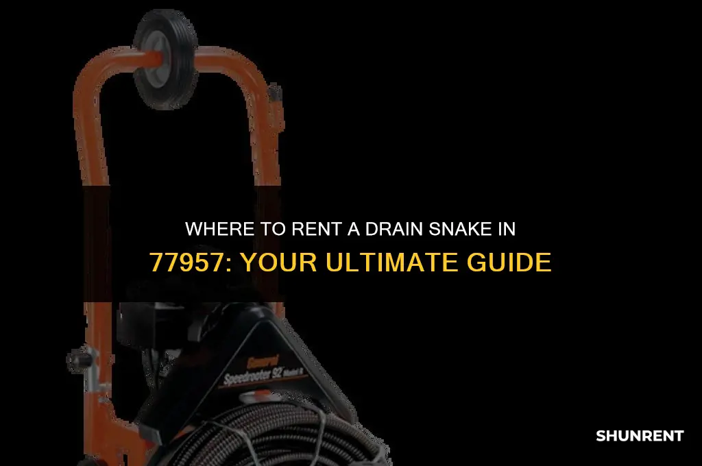 where to rent a drain snake 77957