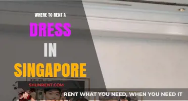 Where to Rent a Dress in Singapore: Top Picks and Tips