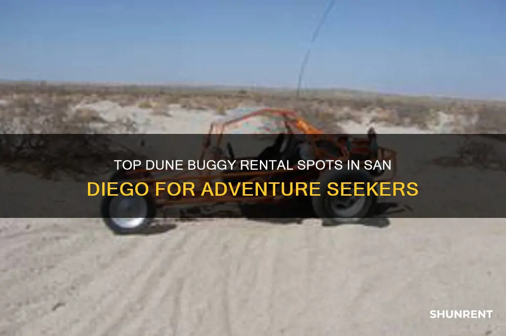 where to rent a dune buggy in san diego