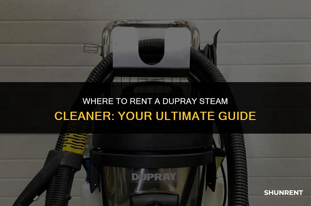 where to rent a dupray steam cleaner