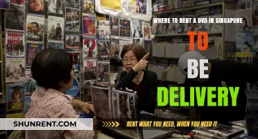Top DVD Rental Delivery Services in Singapore for Movie Lovers