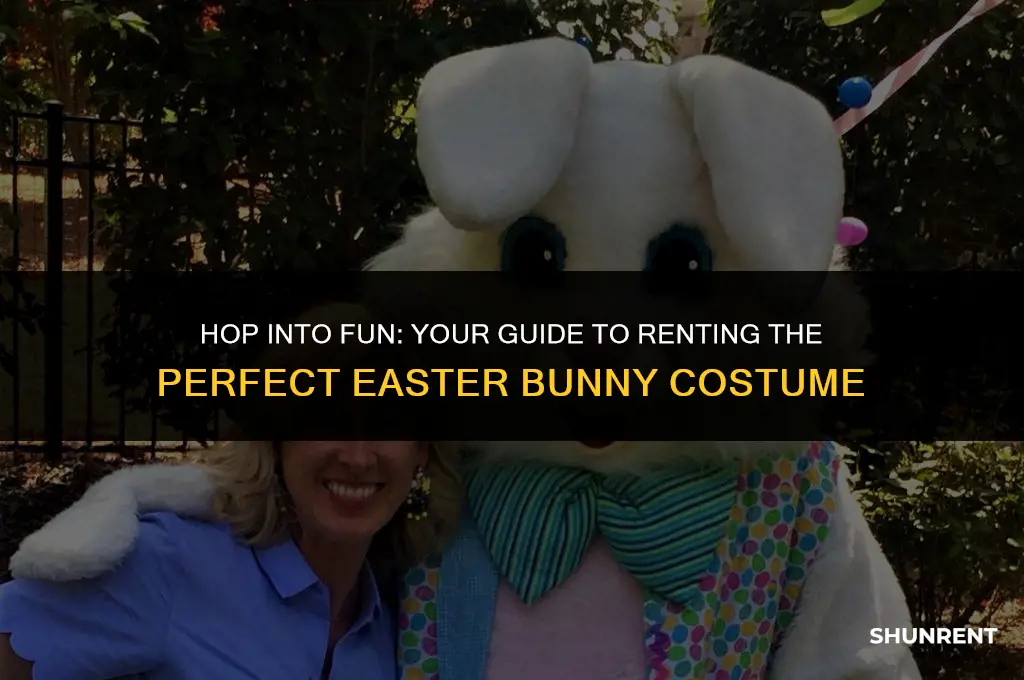 where to rent a easter bunny costume