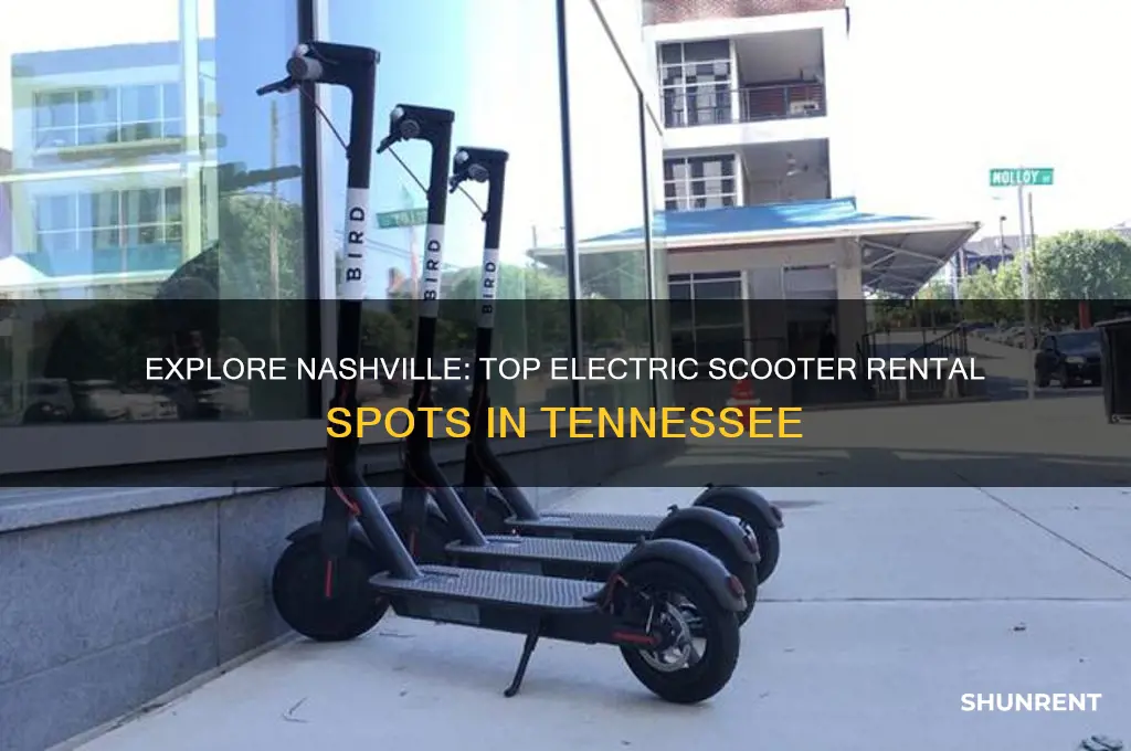 where to rent a electric scooter in nashville tennessee