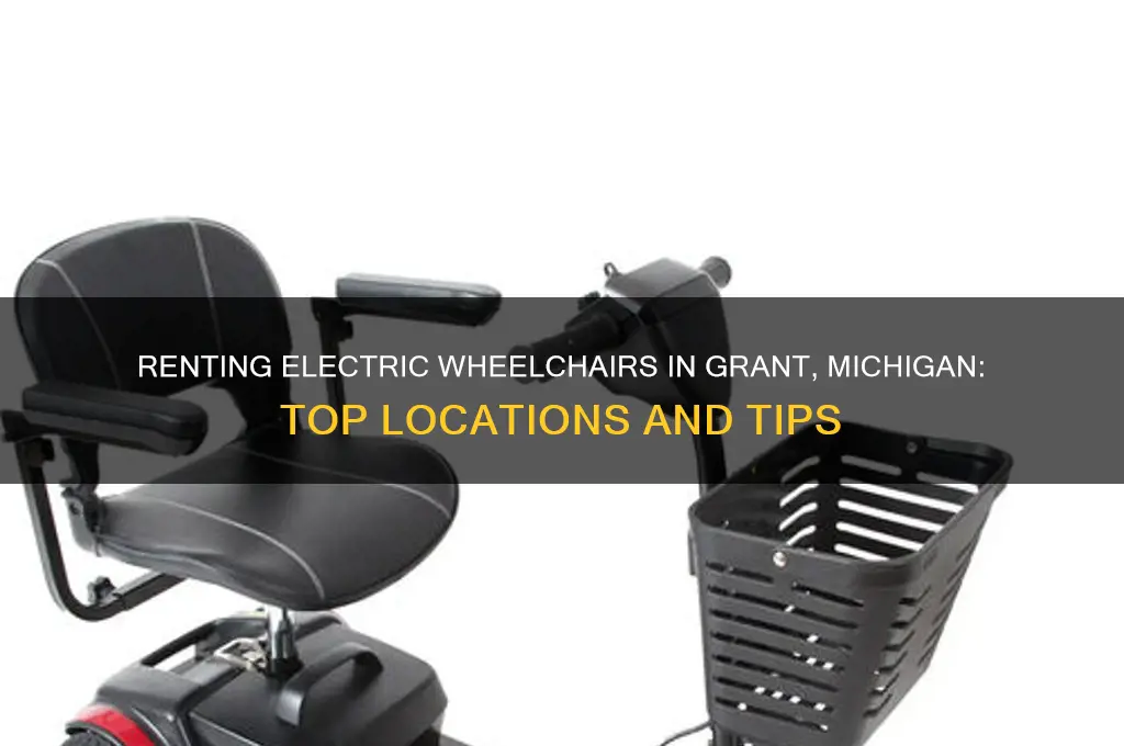 where to rent a electric wheelchair in grant michigan
