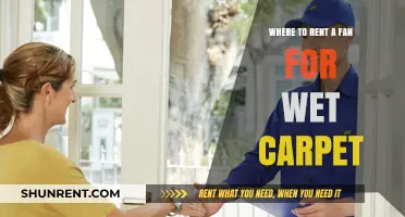 Quick Carpet Drying: Top Fan Rental Options for Wet Floors