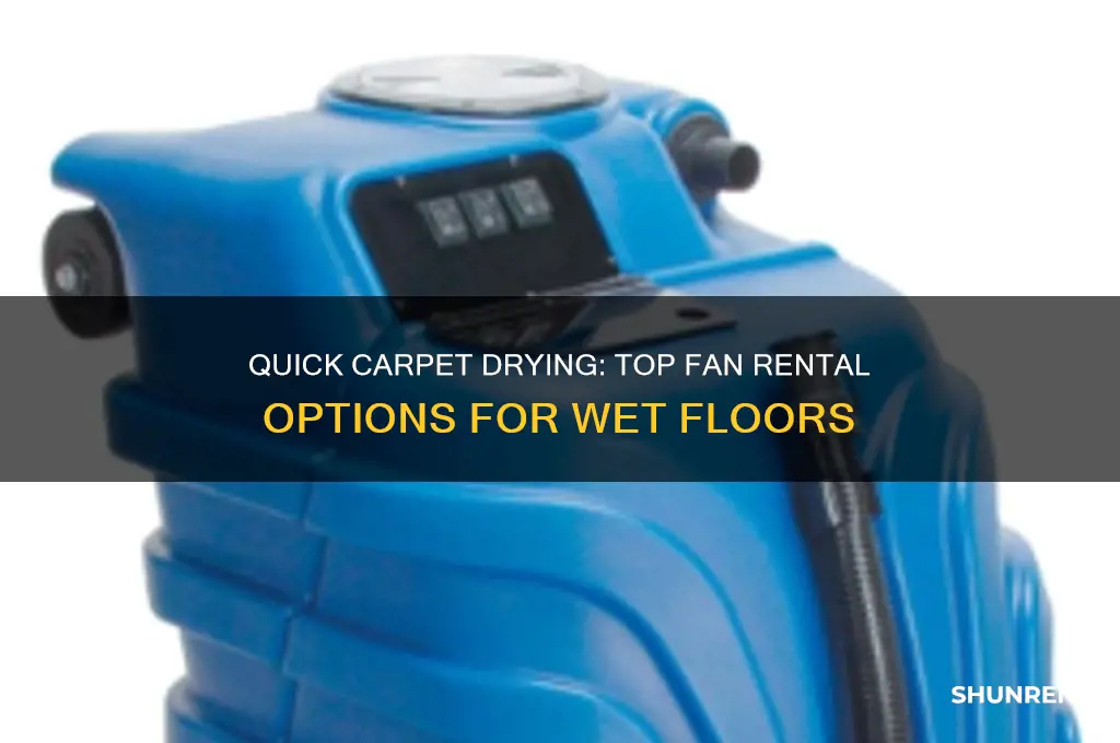 where to rent a fan for wet carpet