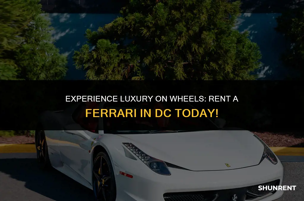 where to rent a ferrari in dc