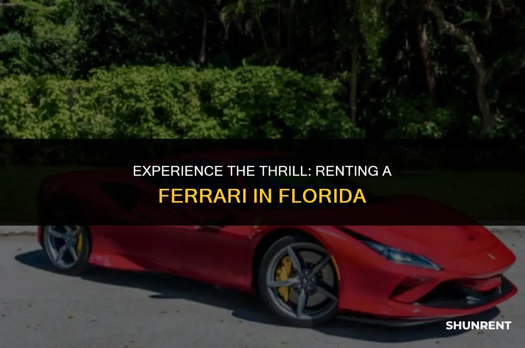 where to rent a ferrari in florida