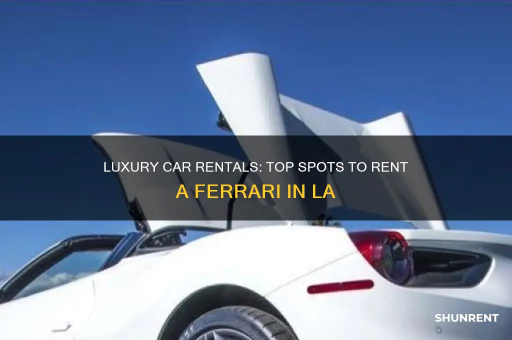 where to rent a ferrari in los angeles