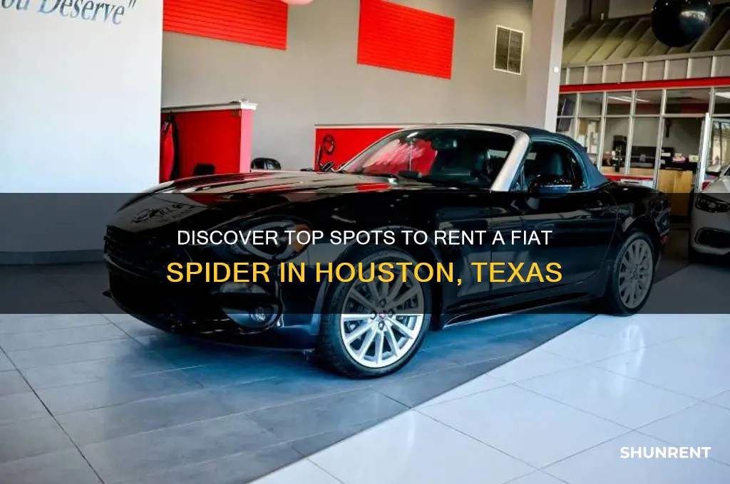 where to rent a fiat spider in houston texas
