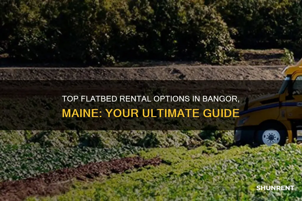 where to rent a flat bed in bangor maine