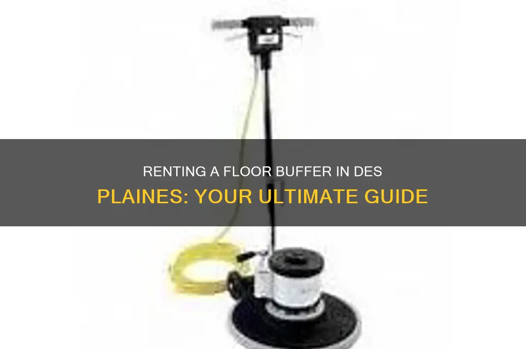 where to rent a floor buffer in des plaines