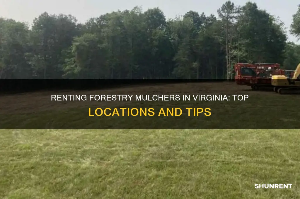 where to rent a forestry mulcher in virginia