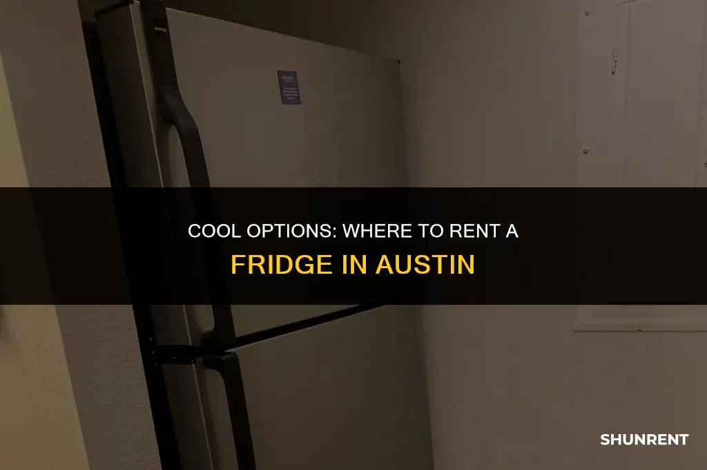 where to rent a fridge in austin