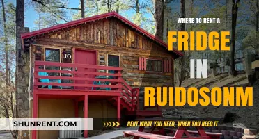 Cool Options: Renting a Fridge in Ruidoso, NM Made Easy