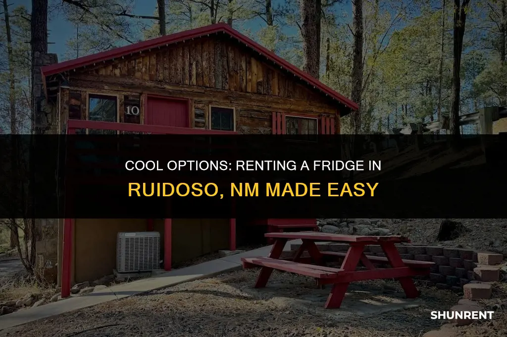 where to rent a fridge in ruidosonm