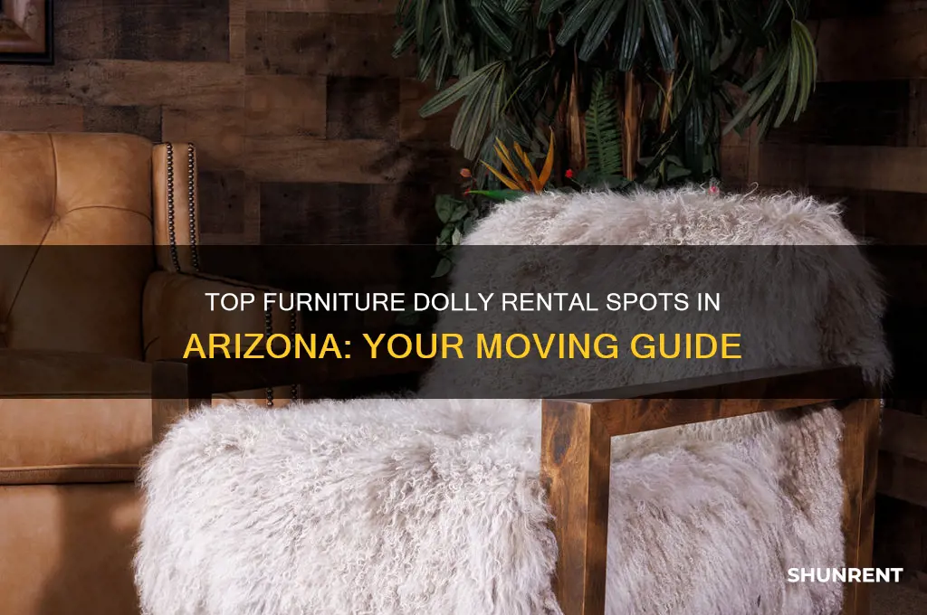 where to rent a furniture dolley in az