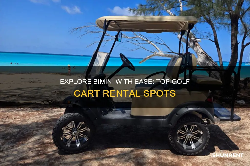 where to rent a golf cart in bimini