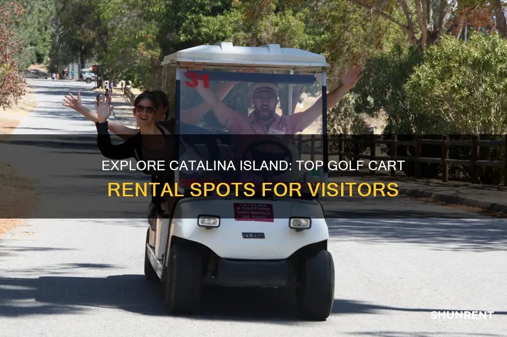 where to rent a golf cart on catalina island