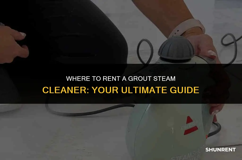 where to rent a grout steam cleaner