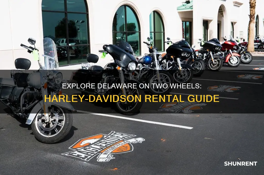 where to rent a harley davidson in delaware