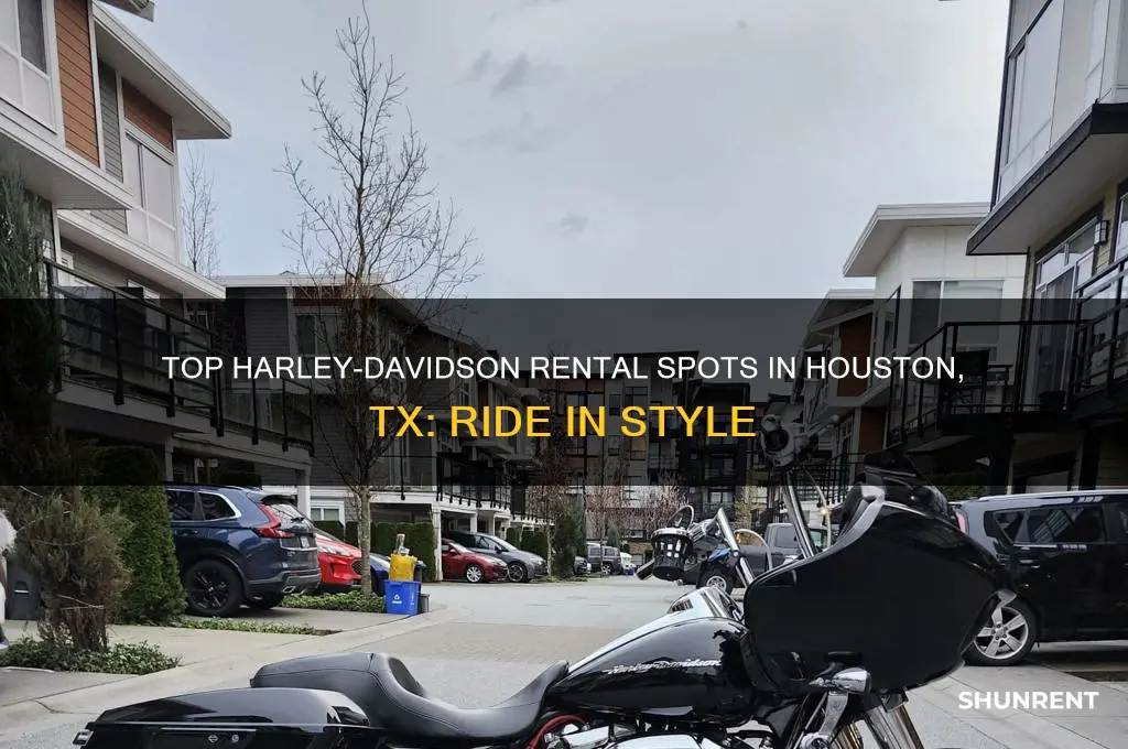 where to rent a harley davidson in houston tx