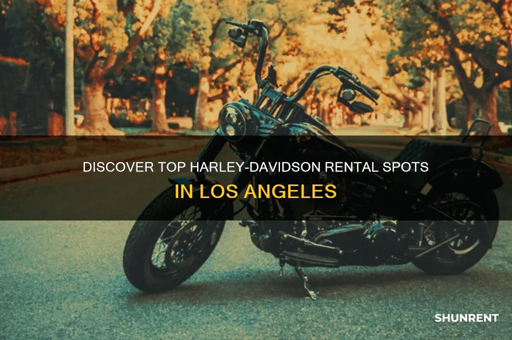where to rent a harley davidson in los angeles