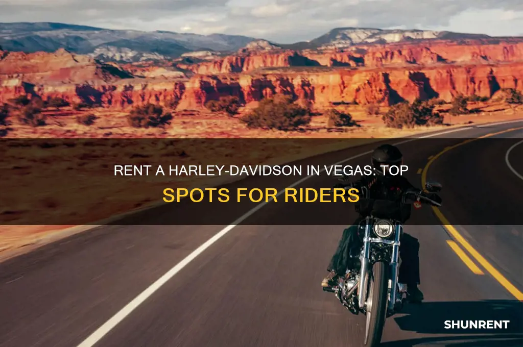 where to rent a harley davidson in vegas