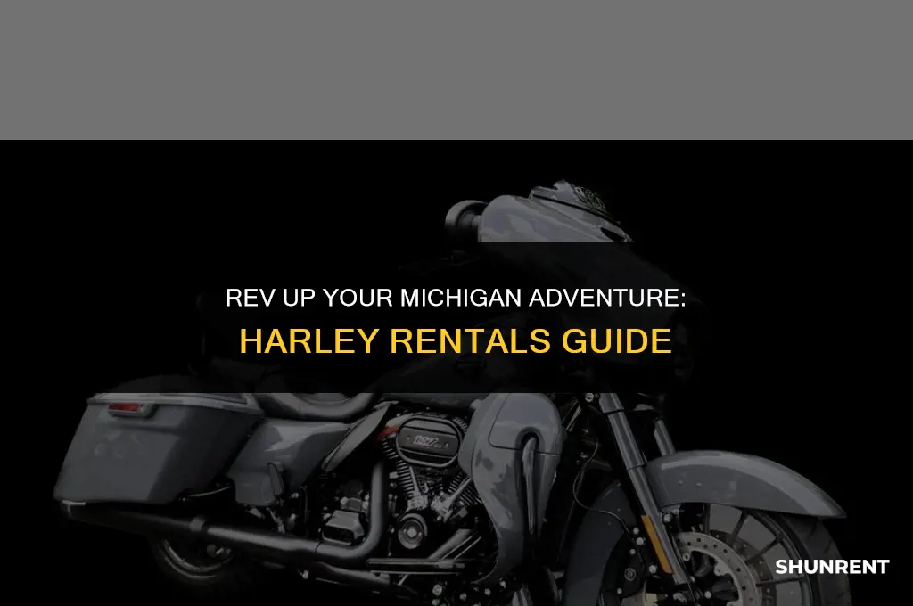 where to rent a harley in michigan