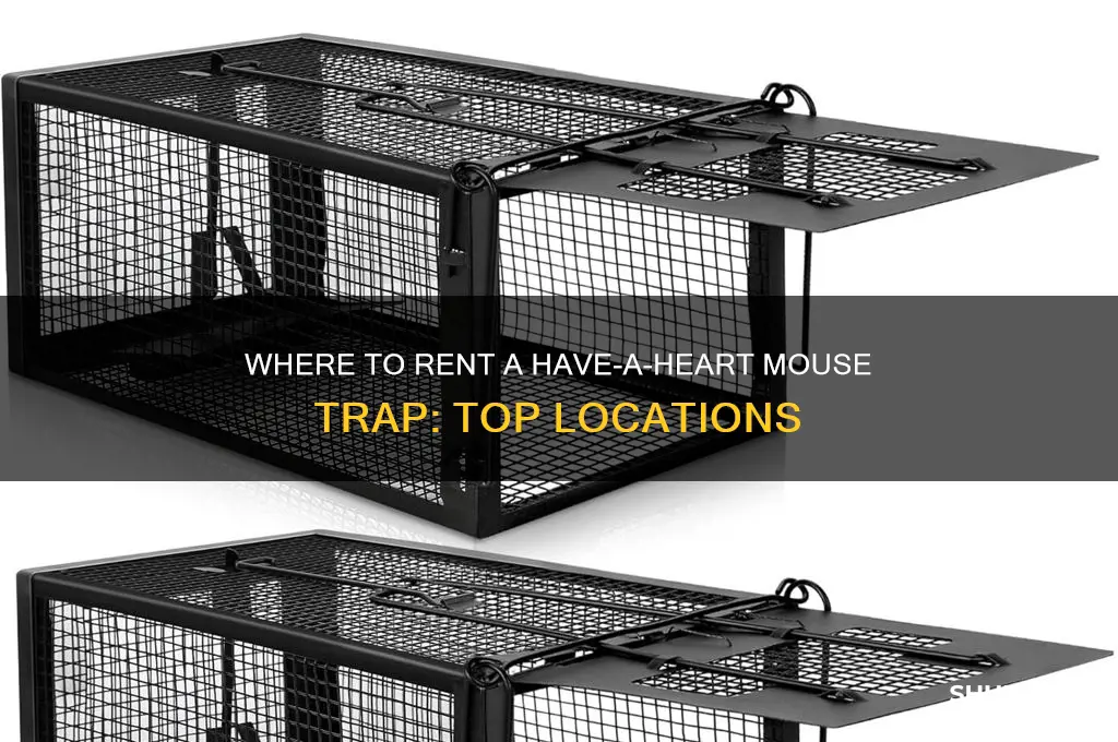where to rent a heave a heart mouse trap