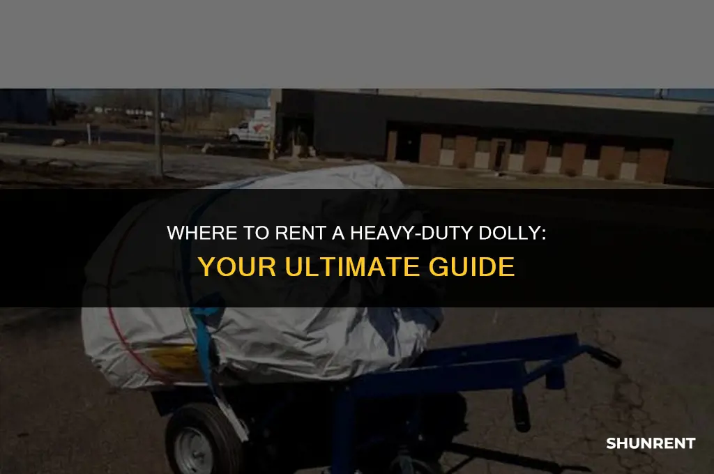 where to rent a heavy duty dolly