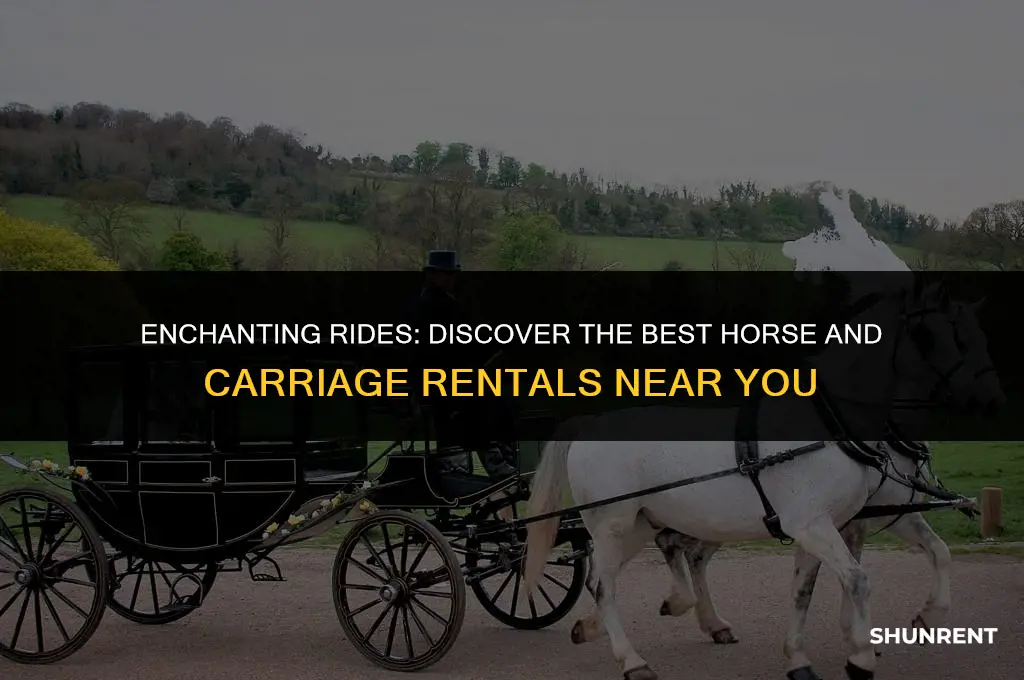 where to rent a horse and carriage