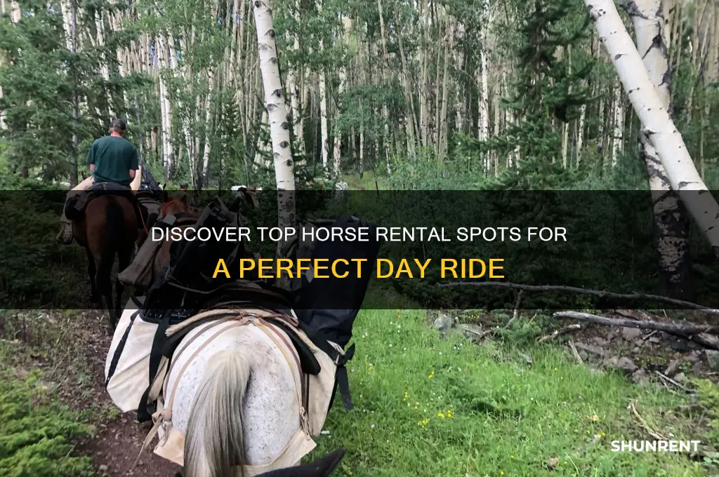 where to rent a horse for a day