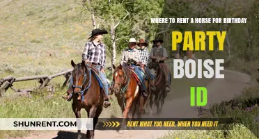 Celebrate in Boise: Top Horse Rental Spots for Birthday Parties