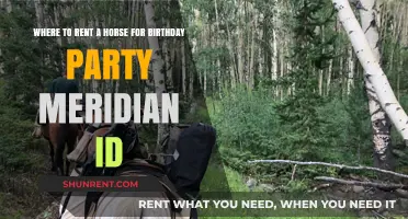 Horse Rentals for Birthday Parties in Meridian, ID: Top Spots