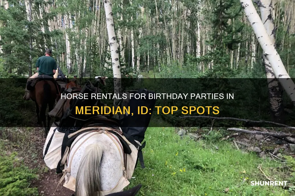 where to rent a horse for birthday party meridian id
