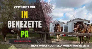 Discover Horse Rentals in Benezette, PA: Your Ultimate Guide