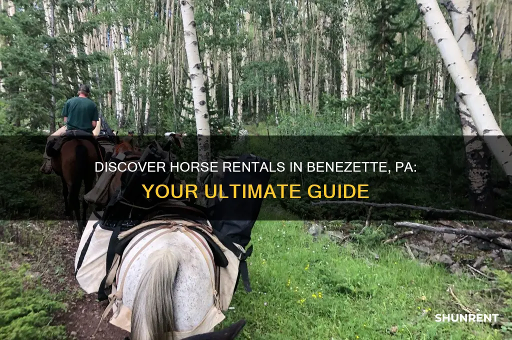 where to rent a horse in benezette pa