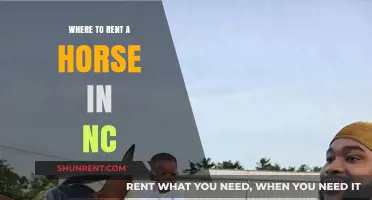 Discover the Best Horse Rental Spots in North Carolina
