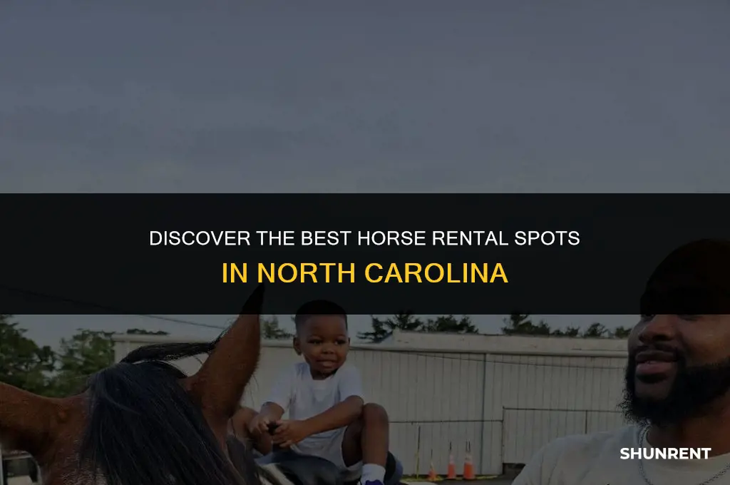 where to rent a horse in nc