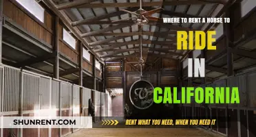 Discover California's Best Horse Rental Spots for Scenic Rides
