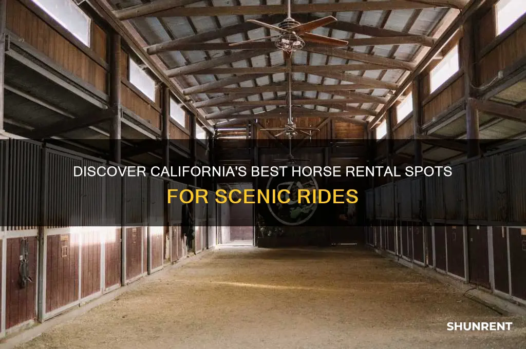 where to rent a horse to ride in california