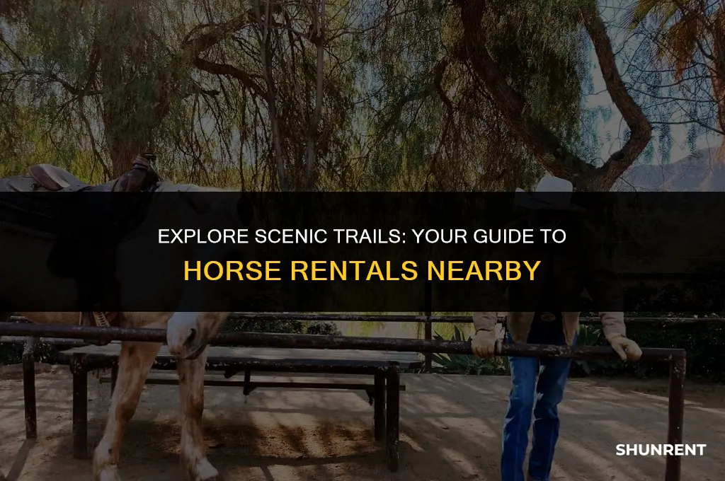 where to rent a horse to ride