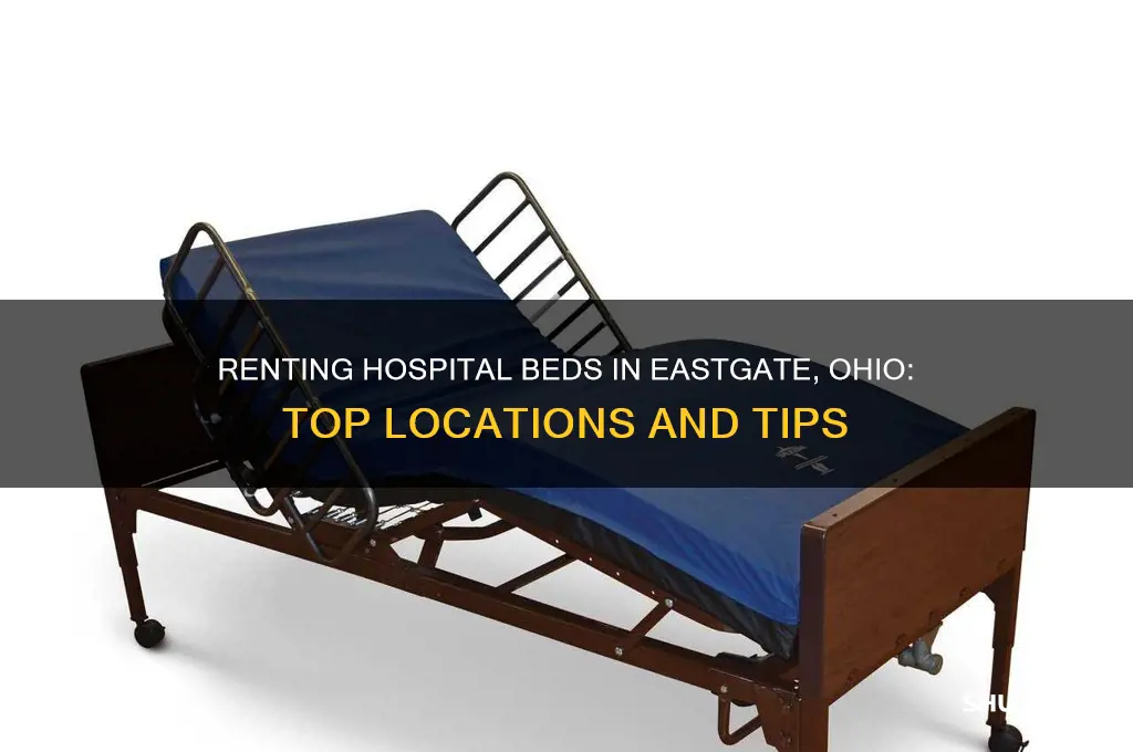 where to rent a hospital bed eastgate ohio