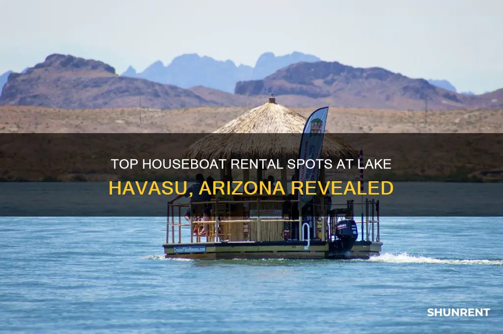 where to rent a houseboat at lake havasu arizona