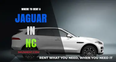 Exploring the Best Jaguar Rental Options in North Carolina