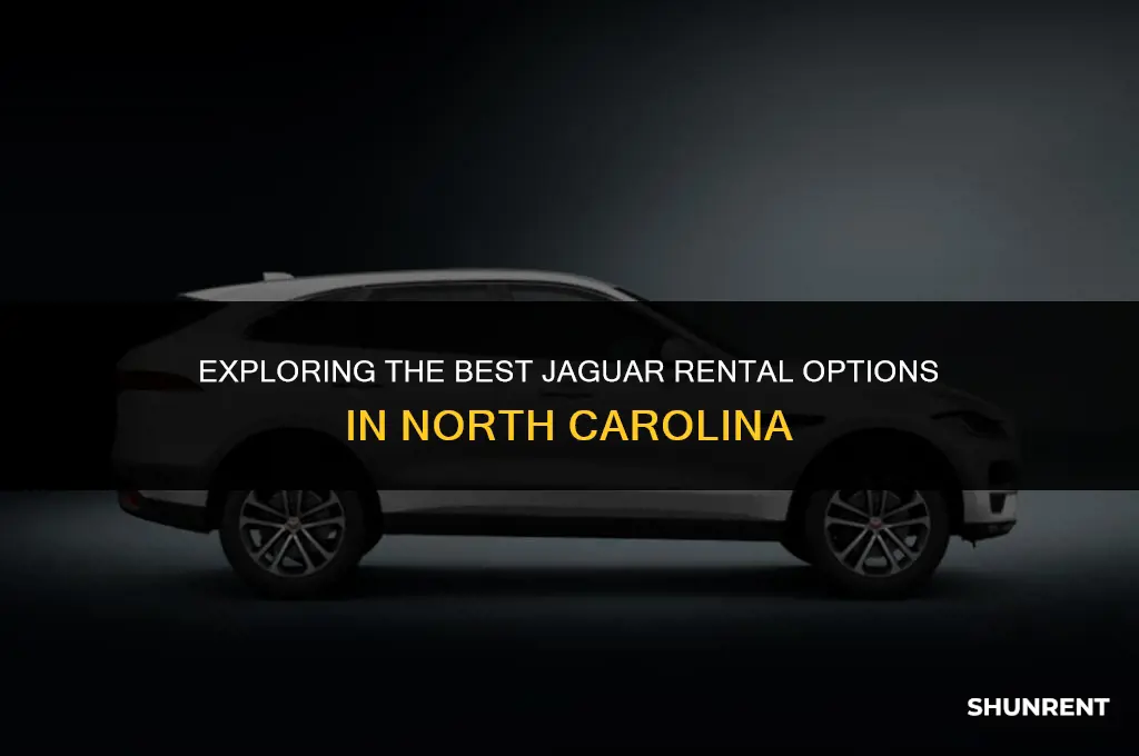 where to rent a jaguar in nc